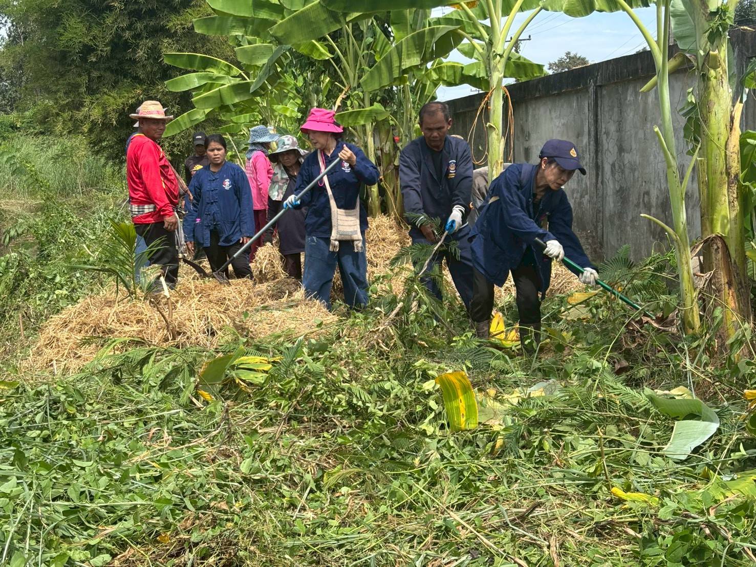 🌟 พช.เจริญศิลป์ จ.สกลนคร : รวมพลังเครือข่าย โคก หนอง นา จัดกิจกรรม "หิ้วปิ่นโต เอามื้อสามัคคี" 