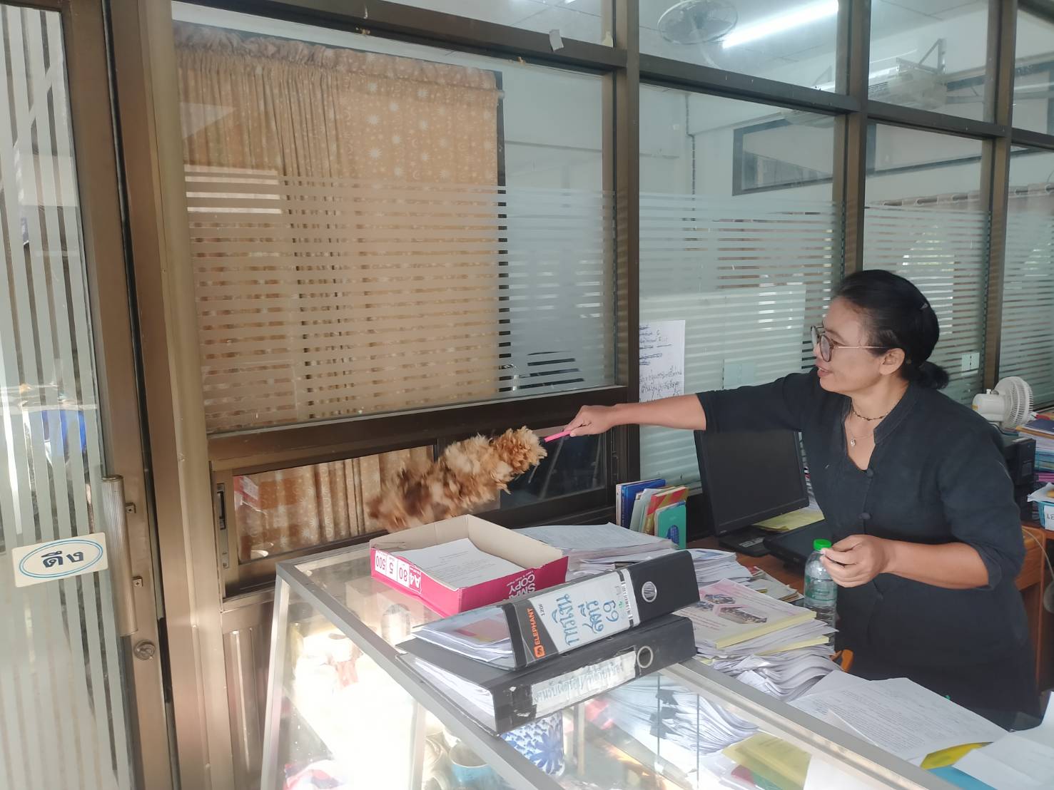 ✨ พช.เจริญศิลป์ จ.สกลนคร :รวมพลังจัดกิจกรรม "5ส Clean & Green Office" สร้างสิ่งแวดล้อมดี "ลด ละ เลิก" ภาชนะโฟม (No Foam) ส่งเสริมการคัดแยกขยะก่อนทิ้ง ประจำเดือนพฤษภาคม 2569