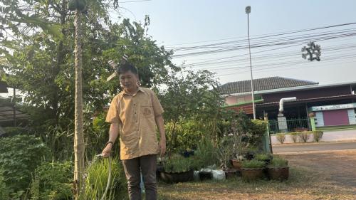 ✨ พช.เจริญศิลป์ จ.สกลนคร : เริ่มที่ตัวเรา ปฏิบัติการ "Quick Win" 90 วัน ปลูกผักสวนครัว เพื่อสร้างความมั่นคงทางอาหาร สู้ภัยวิกฤต ด้วยวิถีพอเพียง