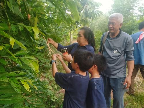 ✨ พช.เจริญศิลป์ จ.สกลนคร :  ติดตามการดำเนินงานโรงเรียนเศรษฐกิจพอเพียงบ้านเจริญศิลป์ ร่วมเก็บเมล็ดพันธุ์ถั่วฝักยาว พร้อมปลูกถั่วลิสง ฟื้นฟูดิน ก่อนทำนา สร้างความคุ้มค่าทุกฤดูกาล