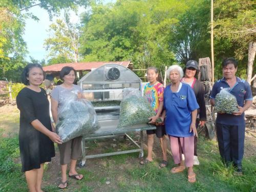 กิจกรรมเครือข่ายกลุ่มออมทรัพย์เพื่อการผลิตบ้านโคกศิลา หมู่ที่ 1 ตำบลโคกศิลา "กลุ่มแปรรูปสมุนไพร"